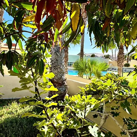 Holiday Bungalow Costa Calma Сasa de vacaciones